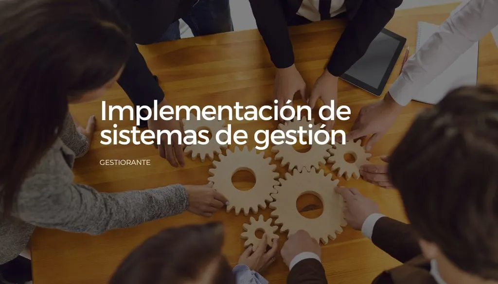 Implementacion de sistemas de gestion
