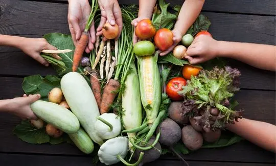 Tendencias gastronomicas